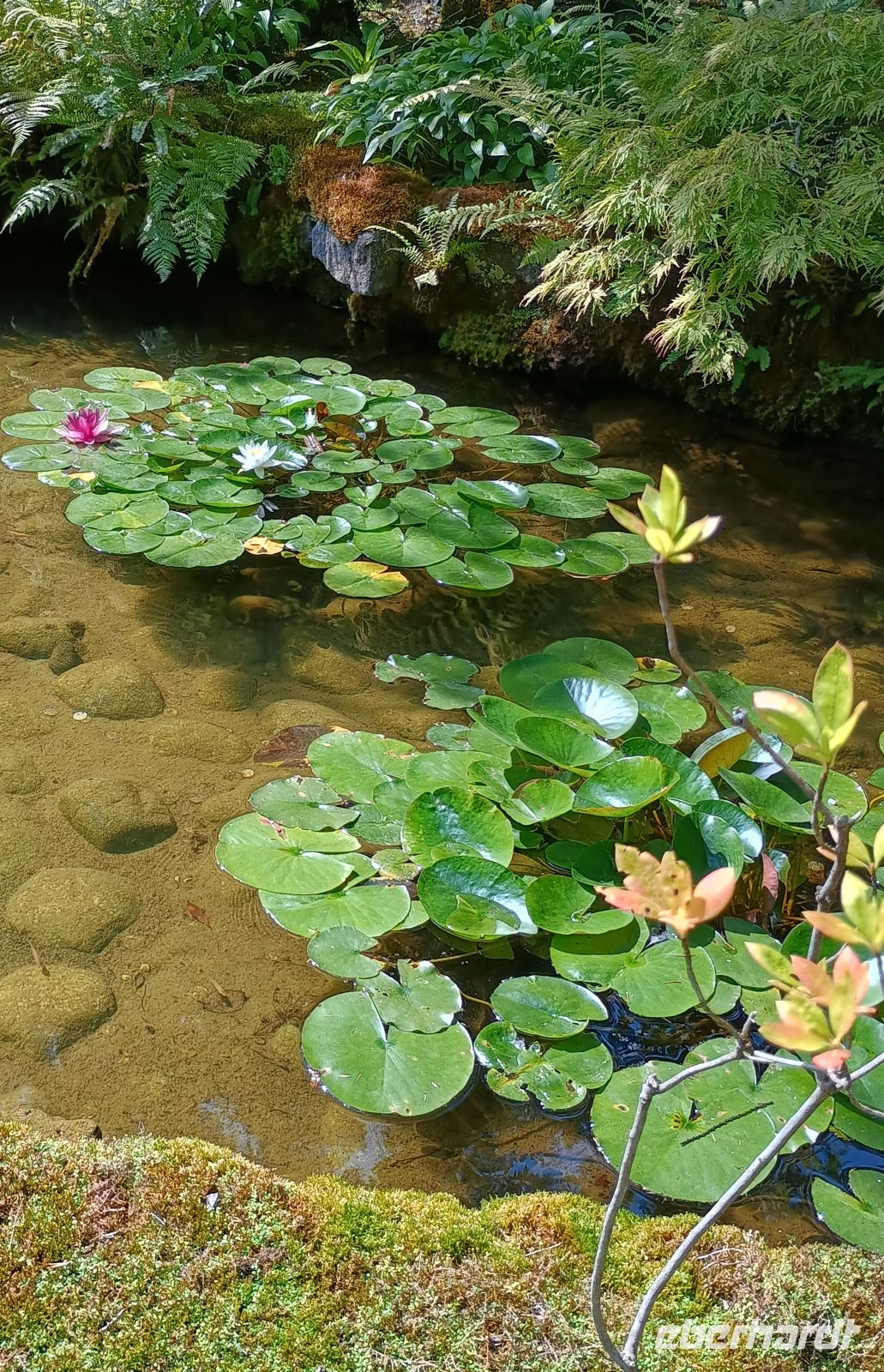 Butchart Gardens &ndash; &copy; Johanna König (Eberhardt TRAVEL)