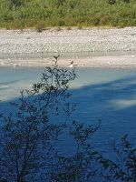 Weißkopfseeadler  &ndash; &copy; Johanna König (Eberhardt TRAVEL)