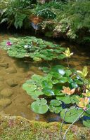 Butchart Gardens &ndash; &copy; Johanna König (Eberhardt TRAVEL)