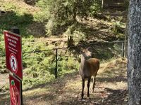 4. Tag – Fahrt durch den Omega-Wildpark &ndash; &copy; Andreas Wolfsteller (Eberhardt TRAVEL)