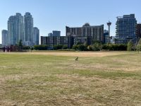 8. Tag – Toronto bis Banff – Stadtrundfahrt in Calgary – Hase am Fort Calgary &ndash; &copy; Andreas Wolfsteller (Eberhardt TRAVEL)