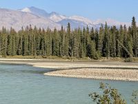 11. Tag – Ausflug im Jasper-Nationalpark – Wapitis im Sunwapta River &ndash; &copy; Andreas Wolfsteller (Eberhardt TRAVEL)