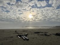 14. Tag – Whistler bis Tofino – Fotostopp am Long Beach im Pacific Rim National Park &ndash; &copy; Andreas Wolfsteller (Eberhardt TRAVEL)