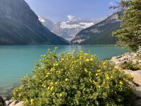 Lake Louise &ndash; &copy; Elisabeth Fox-Maerki (Eberhardt TRAVEL)