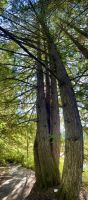 Alles ist lustig in Whistler &ndash; &copy; Elisabeth Fox-Maerki (Eberhardt TRAVEL)