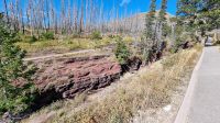 Ausflug zum Red Rock Canyon im Waterton-Nationalpark &ndash; &copy; Kristin Weigel (Eberhardt TRAVEL)