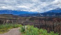Jasper-Nationalpark 2025 &ndash; &copy; Kristin Weigel (Eberhardt TRAVEL)