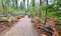 Spahats Falls im Wells Gray Provincial Park bei Clearwater &ndash; &copy; Kristin Weigel (Eberhardt TRAVEL)