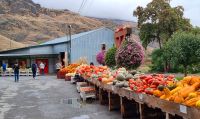 Bauernmarkt - Horsting's Farm Market &ndash; &copy; Kristin Weigel (Eberhardt TRAVEL)