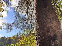 Canyon St. Anne &ndash; &copy; Sabine Reckord (Eberhardt TRAVEL)