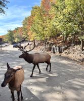 Omega Parc, Quebec &ndash; &copy; Sabine Reckord (Eberhardt TRAVEL)
