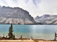 Bow Lake am Icefield Parkway &ndash; &copy; Sabine Reckord (Eberhardt TRAVEL)