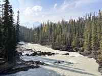 Natur Brücke, Yoho National Park &ndash; &copy; Sabine Reckord (Eberhardt TRAVEL)