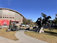 Calgary Stampede &ndash; &copy; Sabine Reckord (Eberhardt TRAVEL)