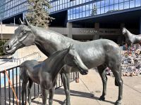 Gedenkstätte First Nations, Calgary, Alberta &ndash; &copy; Sabine Reckord (Eberhardt TRAVEL)