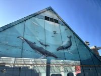 Toronto &ndash; &copy; Sabine Reckord (Eberhardt TRAVEL)