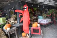 2. Tag - Mahone Bay (5) &ndash; &copy; Franziska Barthel (Eberhardt TRAVEL)