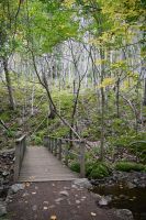 4. Tag - Cabot Trail (7) &ndash; &copy; Franziska Barthel (Eberhardt TRAVEL)