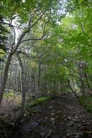 4. Tag - Cabot Trail (8) &ndash; &copy; Franziska Barthel (Eberhardt TRAVEL)