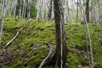 4. Tag - Cabot Trail (9) &ndash; &copy; Franziska Barthel (Eberhardt TRAVEL)