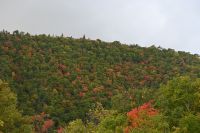4. Tag - Cabot Trail (17) &ndash; &copy; Franziska Barthel (Eberhardt TRAVEL)