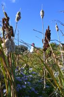 4. Tag - Margaree Harbour (1) &ndash; &copy; Franziska Barthel (Eberhardt TRAVEL)
