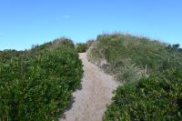 4. Tag - Margaree Harbour (7) &ndash; &copy; Franziska Barthel (Eberhardt TRAVEL)