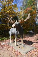 9. Tag - Canyon Sainte-Anne (1) &ndash; &copy; Franziska Barthel (Eberhardt TRAVEL)