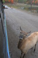 11. Tag - Omega Park (2) &ndash; &copy; Franziska Barthel (Eberhardt TRAVEL)