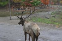 11. Tag - Omega Park (4) &ndash; &copy; Franziska Barthel (Eberhardt TRAVEL)