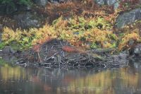 11. Tag - Omega Park (5) &ndash; &copy; Franziska Barthel (Eberhardt TRAVEL)