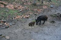 11. Tag - Omega Park (6) &ndash; &copy; Franziska Barthel (Eberhardt TRAVEL)
