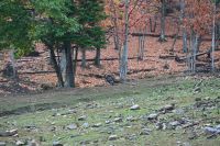 11. Tag - Omega Park (7) &ndash; &copy; Franziska Barthel (Eberhardt TRAVEL)