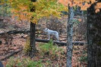 11. Tag - Omega Park (9) &ndash; &copy; Franziska Barthel (Eberhardt TRAVEL)