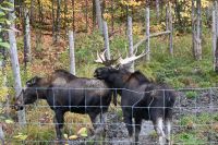 11. Tag - Omega Park (11) &ndash; &copy; Franziska Barthel (Eberhardt TRAVEL)