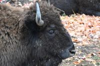 11. Tag - Omega Park (18) &ndash; &copy; Franziska Barthel (Eberhardt TRAVEL)