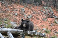 11. Tag - Omega Park (21) &ndash; &copy; Franziska Barthel (Eberhardt TRAVEL)