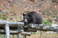 11. Tag - Omega Park (22) &ndash; &copy; Franziska Barthel (Eberhardt TRAVEL)