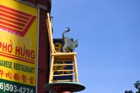 14. Tag - Toronto China Town (1) &ndash; &copy; Franziska Barthel (Eberhardt TRAVEL)