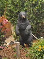 ...im Omega Park  &ndash; &copy; Thomas Krupp (Eberhardt TRAVEL)