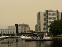 Kingston 