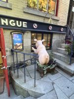 Quebec  &ndash; &copy; Thomas Krupp (Eberhardt TRAVEL)