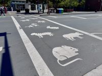 13. Tag: Fakultativer Ausflug nach Vancouver Island – Zwischenstopp in Chinatown &ndash; &copy; Andreas Wolfsteller (Eberhardt TRAVEL)