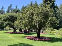 13. Tag: Fakultativer Ausflug nach Vancouver Island – Besuch der Butchart Gardens &ndash; &copy; Andreas Wolfsteller (Eberhardt TRAVEL)