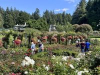 13. Tag: Fakultativer Ausflug nach Vancouver Island – Besuch der Butchart Gardens – Rosengarten &ndash; &copy; Andreas Wolfsteller (Eberhardt TRAVEL)
