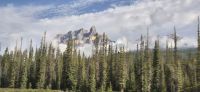 10 Castle Mountain &ndash; &copy; Susanne Schirmann (Eberhardt TRAVEL)