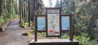 11 Johnston Canyon &ndash; &copy; Susanne Schirmann (Eberhardt TRAVEL)