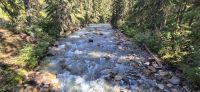 16 Wanderung Johnston Canyon &ndash; &copy; Susanne Schirmann (Eberhardt TRAVEL)
