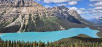 41 Peyto Lake &ndash; &copy; Susanne Schirmann (Eberhardt TRAVEL)