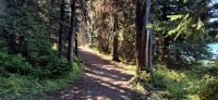 63 Spaziergang Maligne Lake &ndash; &copy; Susanne Schirmann (Eberhardt TRAVEL)